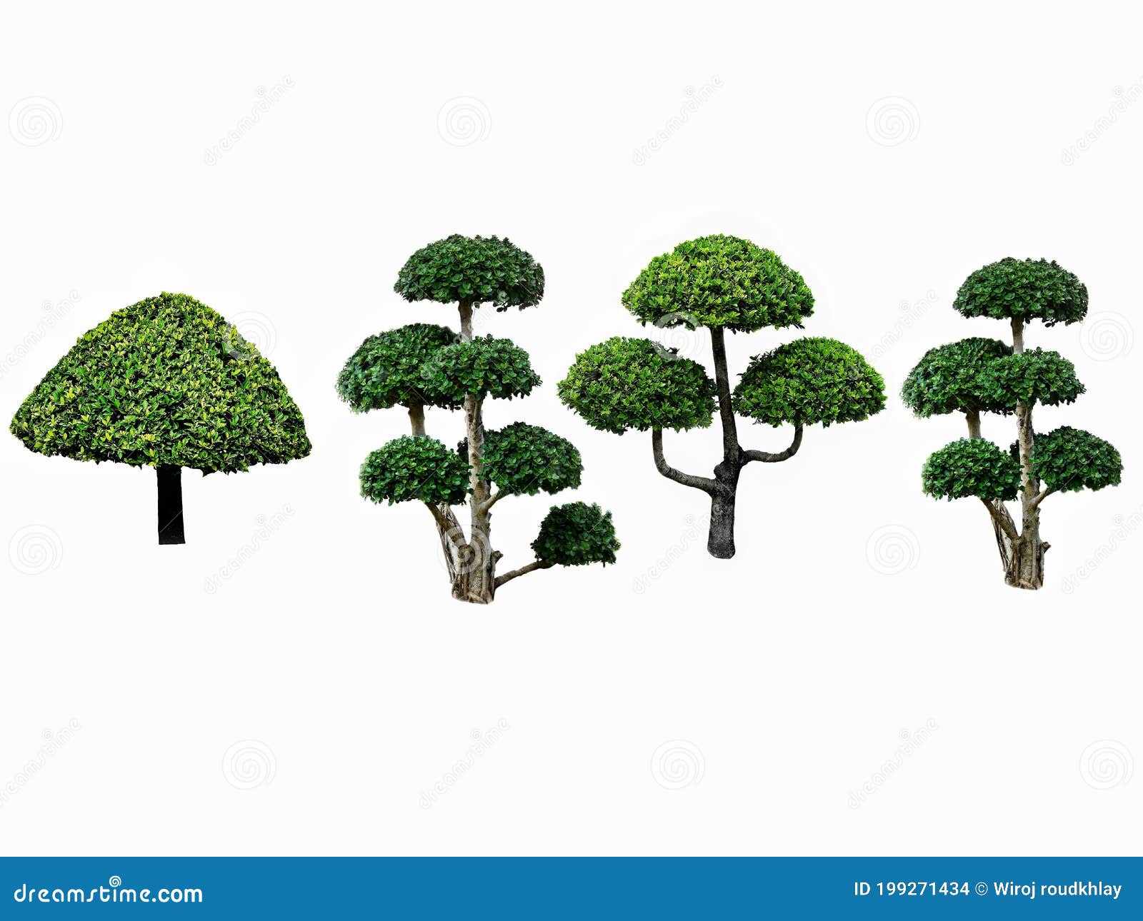 collection ofÃ¢â¬â¹ greenÃ¢â¬â¹ trees  on white background